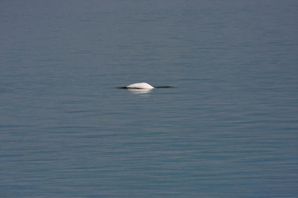 Auberge Sur Mer Charlevoix Saint-Simeon  ภายนอก รูปภาพ